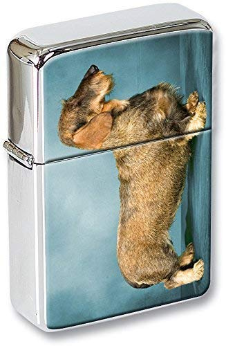 Standard Teckel (Teckel) Briquet à Capuchon Amovible Boîte de Cadeau