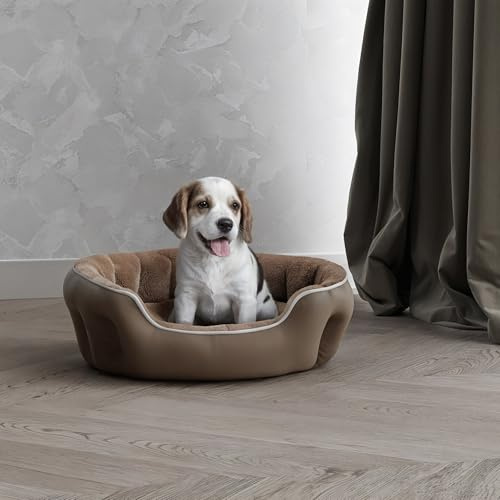 Cama para Mascotas para Perros y Gatos COCCOLE, Beige, 48x42x16cm