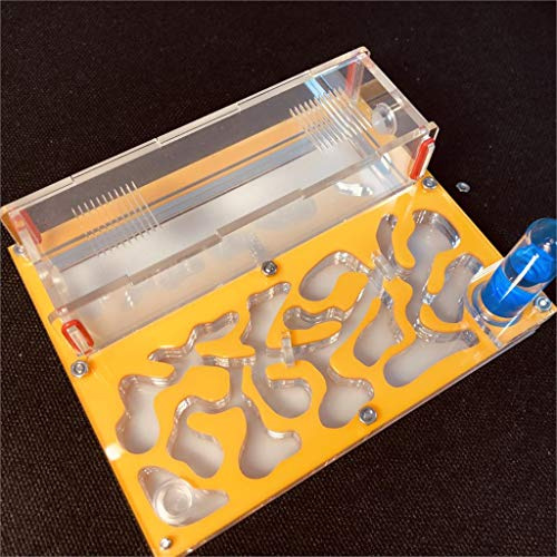 Formicarium Naturelle pour Ferme à Fourmis pour Tube à essai de Fourmis Live Humidité Grand Espace Nid de Fourmis en Acrylique, Fourmilière Insectes(Jaune)