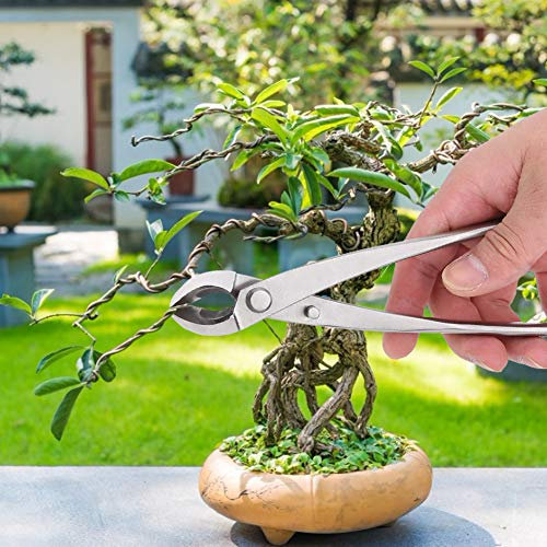 Verktyg för Krukväxter Handsmidda Bonsai Konkav Grenskärare Rostfritt Stål Stamklyver Bonsaiverktyg Trädgårdsbonsai Trädgrenkutter Bonsai-skärverktyg för Trädgårdsbonsai