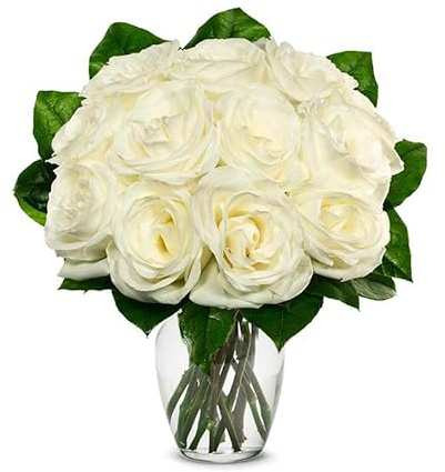 From You Flowers - One Dozen White Roses with Glass Vase | Fresh Flower Bouquets for Birthday, Anniversary, Get Well or Celebration