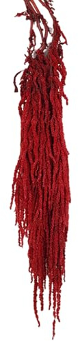 Bouquet di fiori secchi, 24-31, 5 Amaranto essiccato appeso, Fiori di vite naturali realistici, Piante riutilizzabili per bouquet da sposa Decorazione da parete per feste domestiche, Rosso scuro, Deco