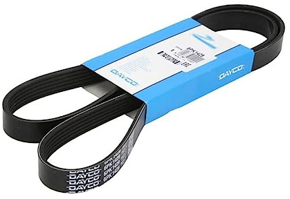 DAYCO 6pk1429 Keilriemen geriffelt,