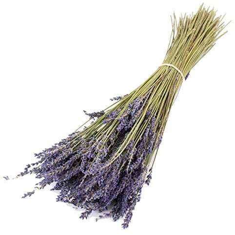 Ramo de Flores Preservadas de Lavanda Flores Secas Naturales Bouquet Lavanda