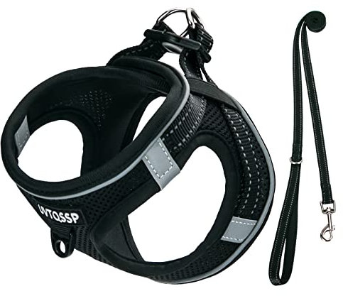 UVTQSSP Hundegeschirr Kleine Hunde mit Leine Gepolstert, Welpengeschirr, Dog Harness Hunde Geschirr Klein (Schwarz, XXS)
