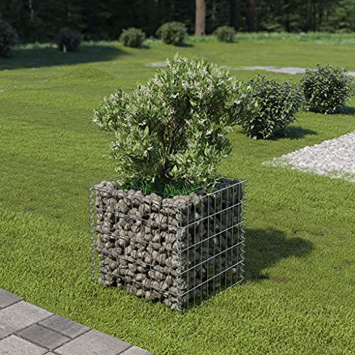 Tomostar Panier de Gabion, Gabion pour Pierre Panier à Pierre Lit surélevé à Gabion Acier galvanisé 50x50x50 cm