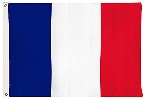 Yicare Drapeaux de Drapeau de la France avec 2 Oeillets métalliques, résistants aux intempéries - Drapeau National français 90 x 150 cm, Tricolore