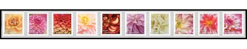 Dahlias 2025 (Strip of 100) First-Class Mail Forever Postage Stamps