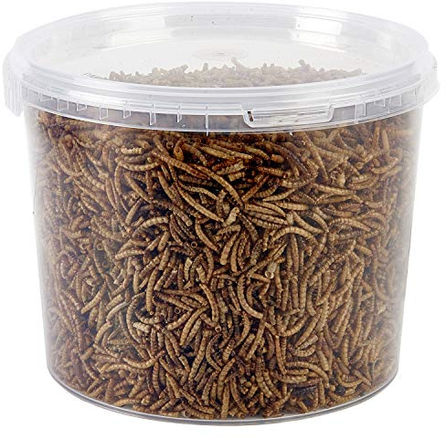 Garden Ting Dried Mealworms Tub, 3 Litre