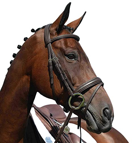 Collegiate Syntovia+ Padded Raised Flash Bridle, Black, Pony