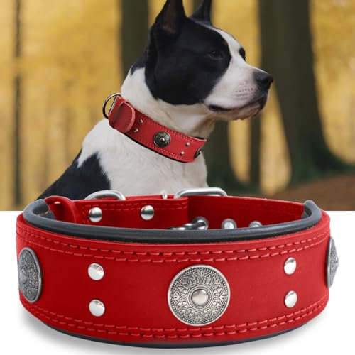 Hundehalsband Leder, 5 cm Breites Robustes Echtes Lederhalsband, Handgefertigt, Weich und Luxuriös, Auffällige Beste Wahl für Große und Mittelgroße Hunderassen, rot 49.5-60 cm
