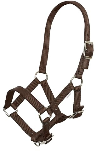 Imperial Riding Cabestro Potro – Cabestro de Nailon Ajustable en 3 Posiciones para Potro con Correa de 20 mm de Ancho y herrajes de níquel, Duradero y Seguro, Nogal