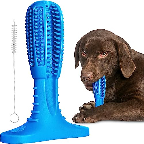 Dog Toys (UK Company), Indestructible Dog Toothbrush Chew Toy, Outdoor Interactive Strong Dogs Teeth Cleaning Dental Stick, Puppy Birthday Gifts