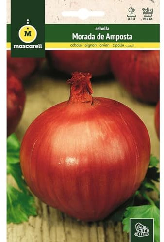 Mascarell Semillas, CEBOLLA, Semillas Huerto, CEBOLLA MORADA DE AMPOSTA, Crea tu Propio Huerto Urbano y Cultivo en Casa, Plantas Hortícolas, 3 Gramos
