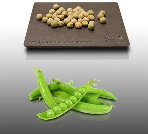 75 grammes à semer - Le Grenier d'Abondance - POIS à rames Roi des Conserves - Pisum sativum