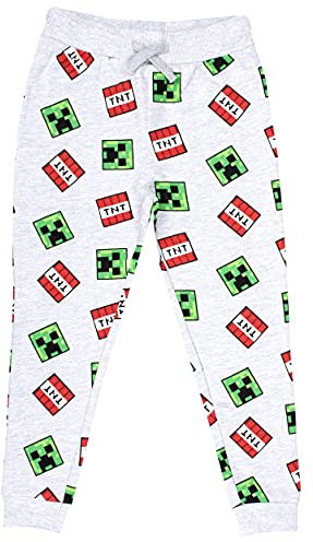 Minecraft - Vêtements Bas de Survêtement Garçon - Jogging Bleu 100% Coton Garçon - Pantalon de Survêtement - Cadeaux Gris (5-6 Ans)