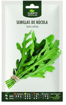 Semillas de Rúcula Aromática para Macetas y Jardines Urbanos DECOALIVE