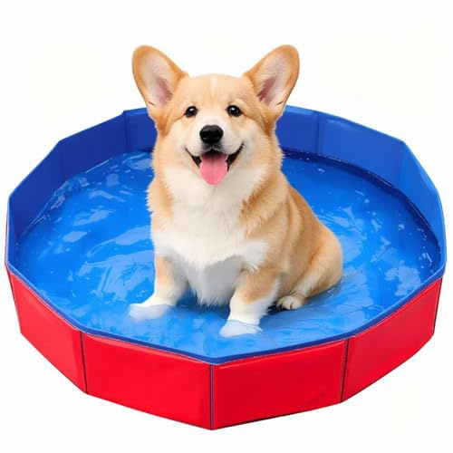 Dog Paddling Pool, Foldable Pool for Small Dogs, Rigid Plastic Paddling Pool for Pet Bathing, Compact 50 X 10 Cm Design, Durable Dog Swimming Pool, Small Paddling Pool 4ft Size, Plastic Pool for Outdo