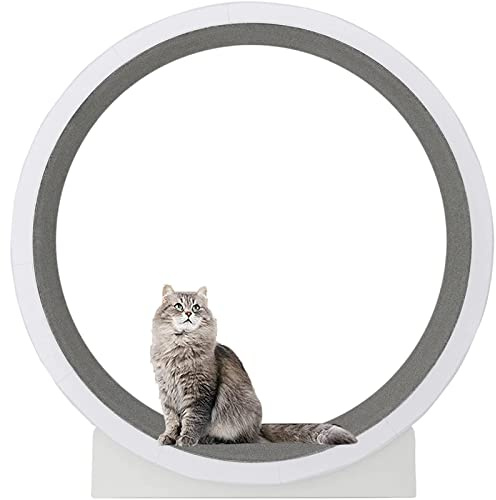 ERTsrhFD Rueda de Ejercicio for Gatos Interior, Rueda Grande for, for Correr con Alfombra