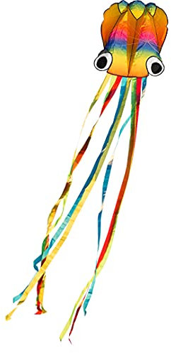 HQ Design - Rainbow Octopus, Kinderdrachen Drachen Flugdrachen Einleiner Drachen zum steigen Lassen, wenig Wind ab 5 Jahren, 410x70cm, inkl. 17kp Polyesterschnur 40m auf Spule, 2-5 Bft