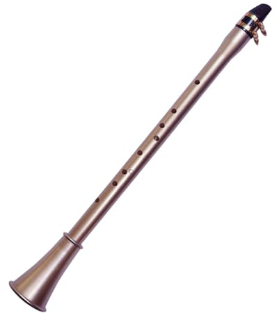 Saxophone de poche ABS Mini saxophone portable avec sac de transport Instrument à vent en bois