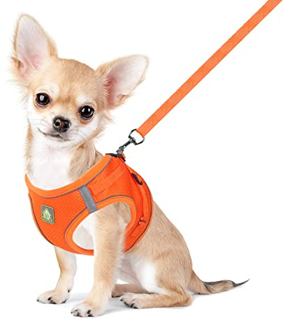 FEimaX Pettorina per Cani e Guinzaglio, Imbottita in Morbida Rete, Imbracatura Riflettente Regolabile per Cane di Piccola Media Taglia e Gatti Harness per Passeggiate e Corsa Arancia