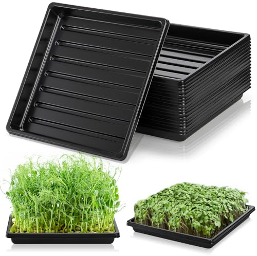 Tlence Paquete de 10 bandejas de cultivo de plástico, 10.6 x 10.6 pulgadas, bandejas de cultivo de plantas de jardín, bandeja de propagación sin agujeros de drenaje, bandeja de inicio de semillas de
