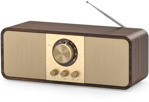 Radio Vintage, Radios Rétro avec Bluetooth et Carte TF, Alimentation par Batterie 3000mAH, avec 2 Woofers de 8 Watts, Radios Rétro avec AUX/USB, Radio Cuisine/Chambre/Bureau