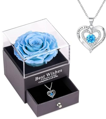 NEWUPZSI Rosa reale conservata rossa, eterna fatta a mano rosa con collana, regali per la tua fidanzata originale, romantici regalo per San Valentino, festa della mamma, anniversario, Natale, Pelle