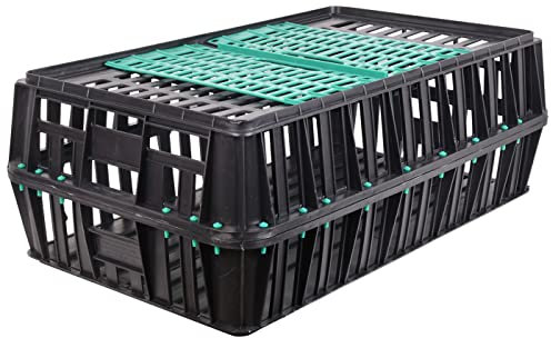 Geflügeltransportkiste 85x50,5x31cm mit 2 Türen in schwarz mit grünen Türen