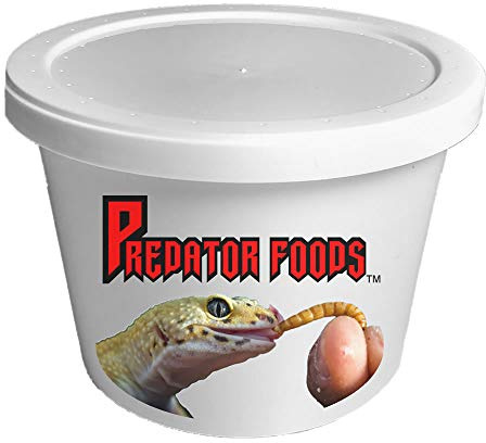 Predator Foods Bulk Live Mealworms - 500 Count (Medium - 0.5)