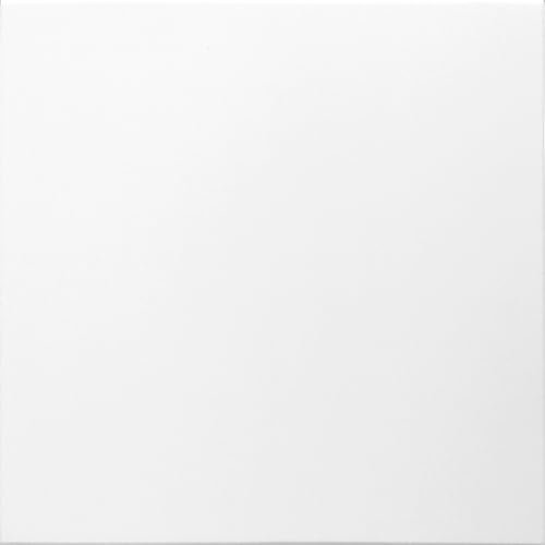 Deccart - 3D Wandpaneele 50x50 cm - Paneele Wand Wall Panels Deko Wandverkleidung Innen Panel Deckenverkleidung Decke Deckenpaneele Platten Styropor EPS-Polystyrol 0814 Weiß 8 Stück - 2 m²