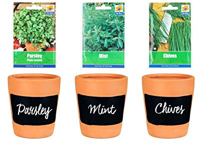 DIY Grow Your Own Herbs Sets: 3PC Terracotta Chalkboard Herb Planters with Parsley, Mint and Chive Seeds.