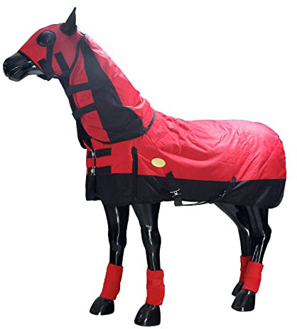 Coperta Anti-Mosche per Cavalli Coperta Invernale per Cavalli Coperta Invernale Impermeabile Coperta Impermeabile per Cavalli in Poliestere Fascia per la Pancia Lime (Dimensioni: 135 cm (53 Pollici)