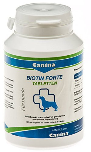 BIOTIN FORTE Tabletten Vet. 100 g