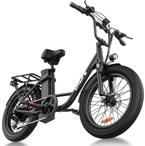 URLIFE Electric Bikes for Adults, 20 x 3.0 Fat Tire E Bike with 7 Speed, 48V 13Ah Removable Battery, 250W Motor Ebike with Colorful LCD Display for Adults (Black)