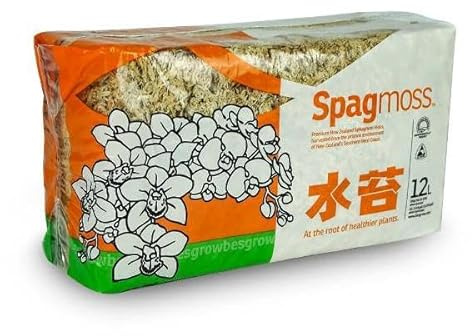 Planeta Potager Bonsai Substrat Musgo 150 g