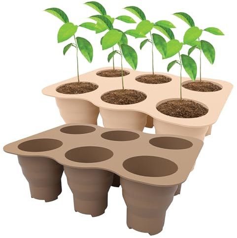 JasCherry Lot de 2 Plateaux de Pots de semis en Silicone, Plateau de graines de Plantes, Tasse de Germination pour la Propagation des Plantes en intérieur