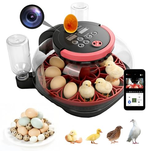 Incubadora Automática de 12 Huevos con Pantalla Digital y iluminación LED | Control Eficiente e Inteligente de Temperatura Aves De Corral, Pato, Codorniz, visualización