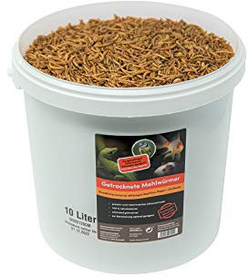 SUPERWURM 10 Liter getrocknete Mehlwürmer - Insekten getrocknet - Futter Snack für Fische, Wildvögel, Igel, Wachtel, Hamster, Ideales Igelfutter, Vogelfutter