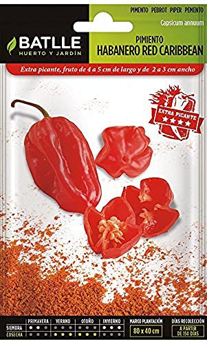 Semillas Batlle Pimiento Habanero Red Caribean