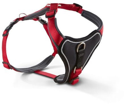 Geschirr Professional Comfort Gr.7