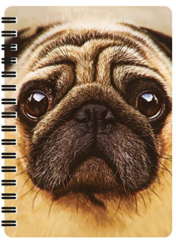 3D LiveLife Pug Spiralbunden A6-Anteckningsbok Med 80 Blanka Sidor | Anteckningsbok, dagbok eller ritbok i fickformat med hund på omslaget. Presenter och kontorsartiklar från Deluxebase.