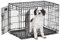 MidWest Homes for Pets Life Stages Modell 1630DD Hundebox, mittelgroß, Doppeltür, faltbar, Metall, 76 cm lang, mit Trenneinsatz, Bodenschutz, auslaufsicherer Wanne, für mittelgroße Hunde, schwarz