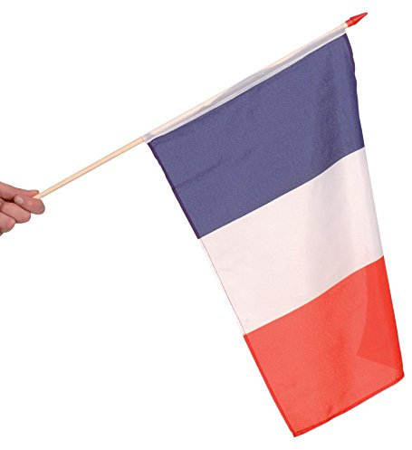 France DRAPEAU 45X30cm avec Hampe