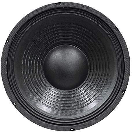 12 200 W High Powered Speaker (8 Ohm) SoundLAB L042P