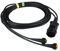 cartrend 10250 Kabelsatz Stecker 7polig Adernanzahl 7 Kabellaenge=5.00m