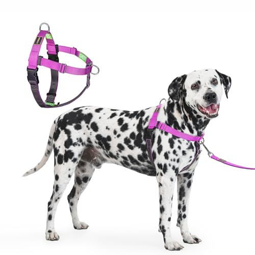 APDEXY Freedom No Pull Dog Harness for Large Dogs, Easy Walker, Anti Pull with Two Stainless D-Rings, Comfortable, Sewn-in Instructions Tags for Easy Use (Purple, XL)