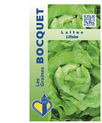 Sachet de graines de Laitue lilloise - 2 g - légume feuille - LES GRAINES BOCQUET