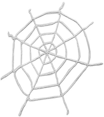 Pegasus Ragnatela di Rete Decorazione Addobbi Halloween (Bianco)